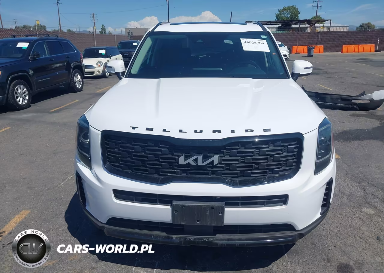 2022 Kia Telluride Ex VIN:5XYP3DHC4NG319799 - 13