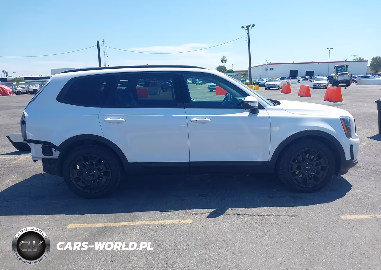 2022 Kia Telluride Ex VIN:5XYP3DHC4NG319799 - 14