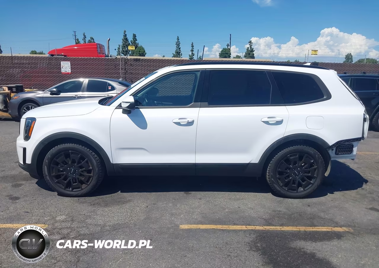 2022 Kia Telluride Ex VIN:5XYP3DHC4NG319799 - 15
