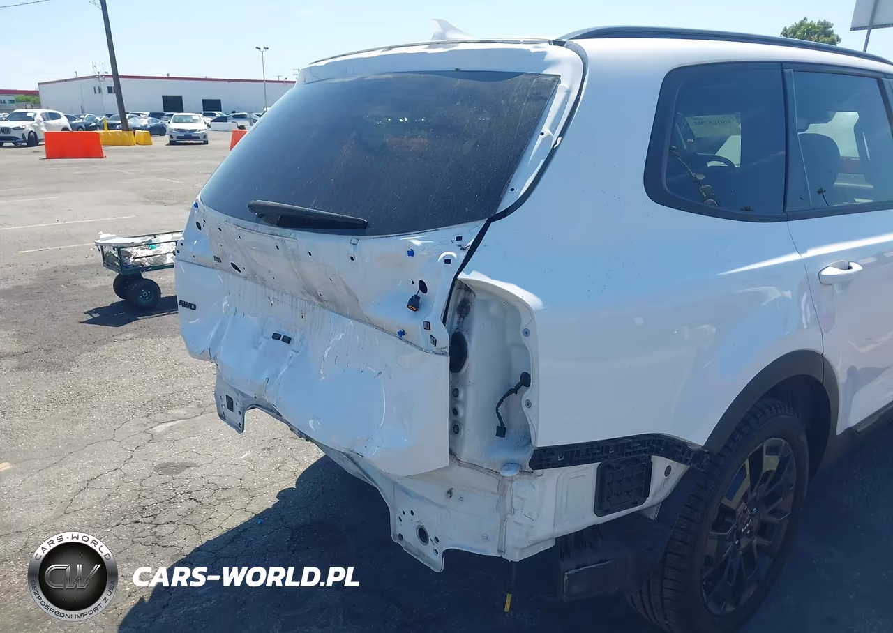 2022 Kia Telluride Ex VIN:5XYP3DHC4NG319799 - 18