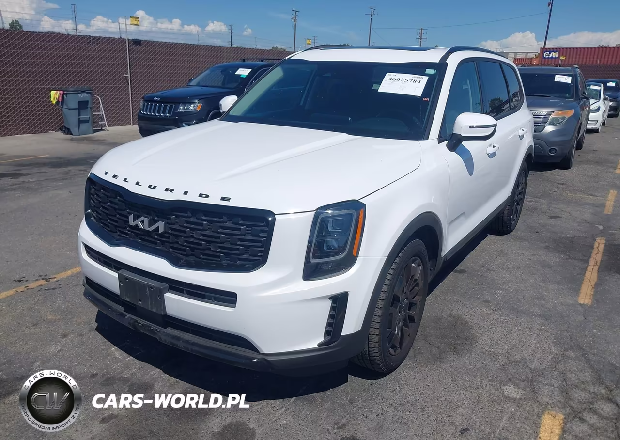 2022 Kia Telluride Ex VIN:5XYP3DHC4NG319799 - 2