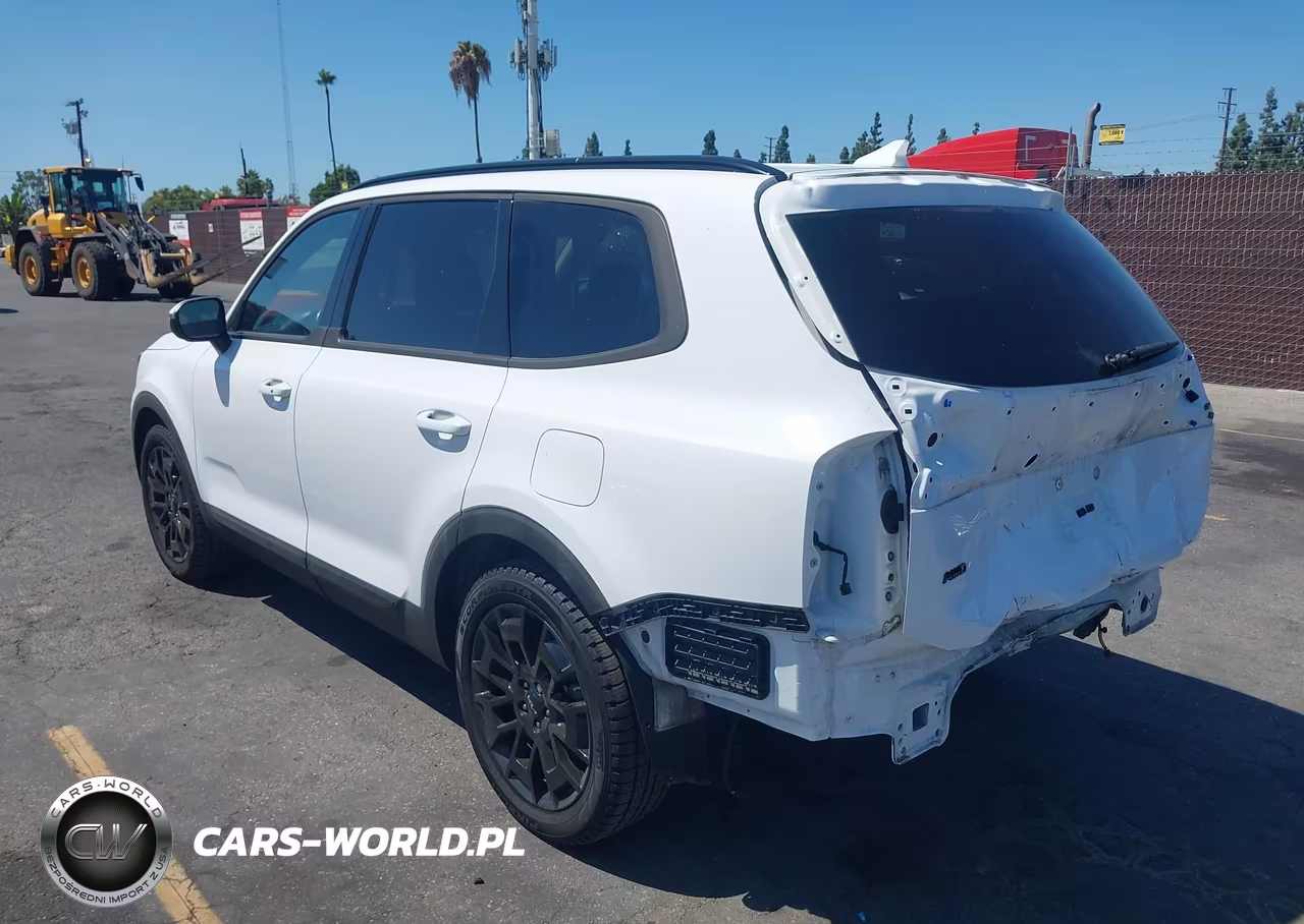 2022 Kia Telluride Ex VIN:5XYP3DHC4NG319799 - 3