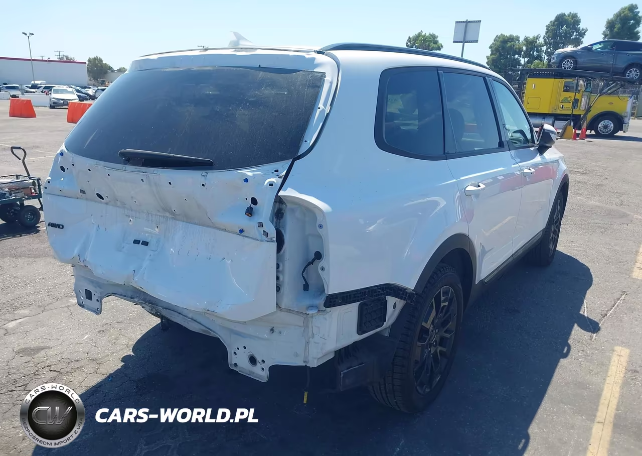 2022 Kia Telluride Ex VIN:5XYP3DHC4NG319799 - 4