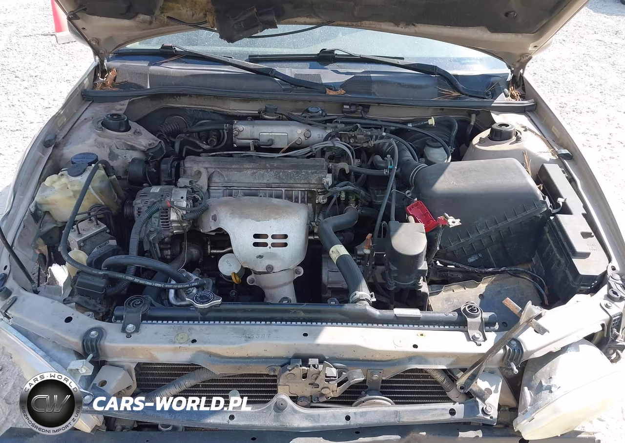 1998 Toyota Camry Le VIN:4T1BG22K6WU190589 - 10