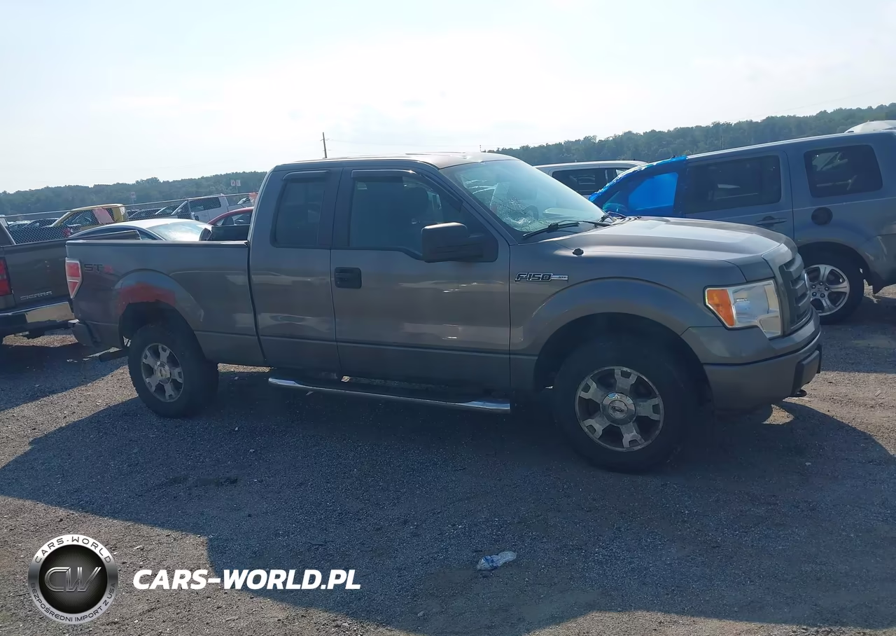 2009 Ford F-150 Stx-Xl VIN:1FTRX14W99FB35012 - 13