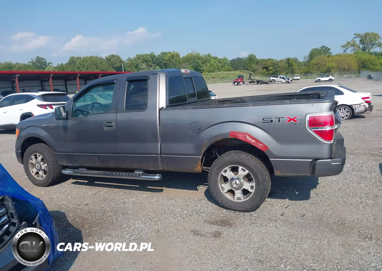 2009 Ford F-150 Stx-Xl VIN:1FTRX14W99FB35012 - 14