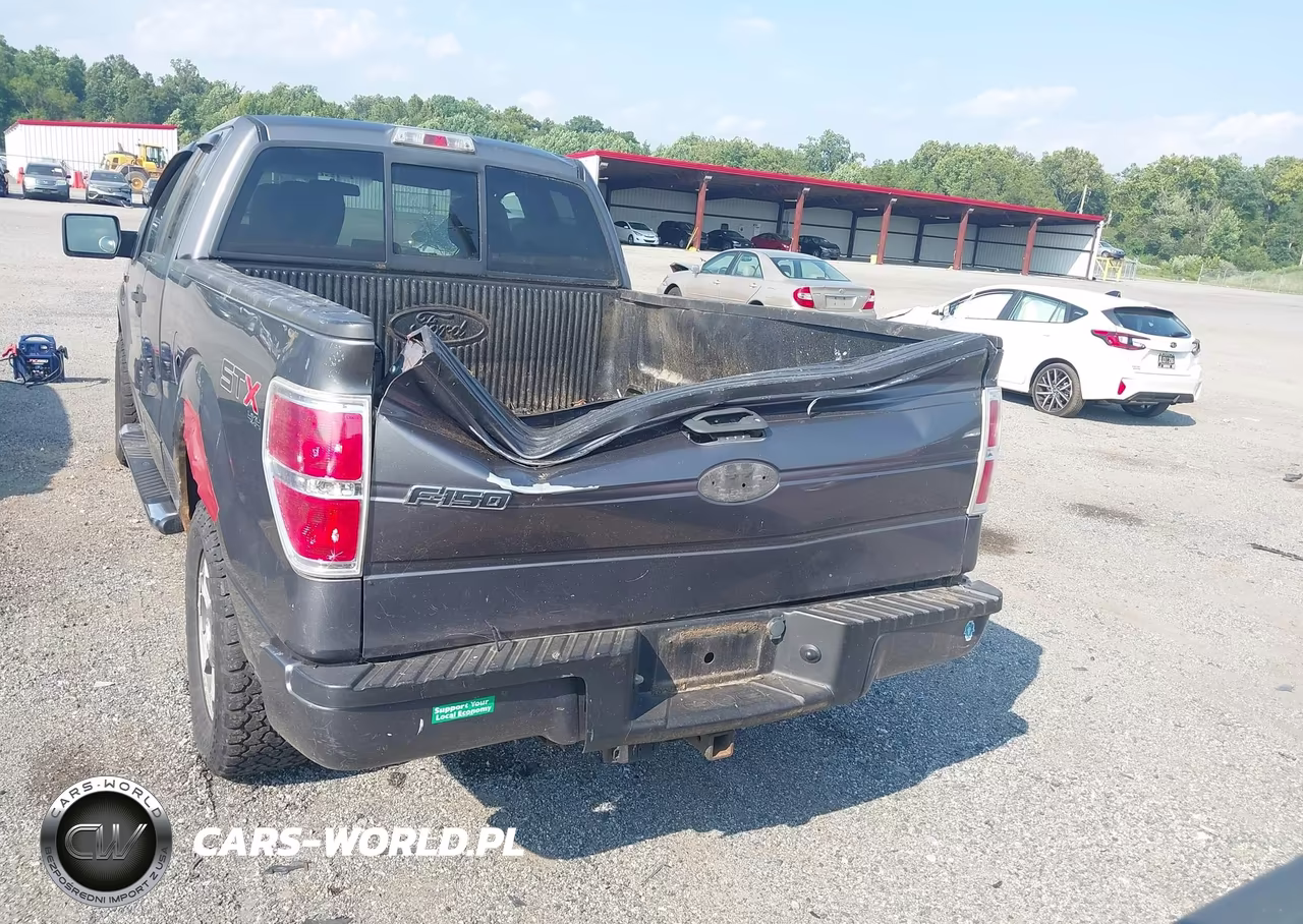 2009 Ford F-150 Stx-Xl VIN:1FTRX14W99FB35012 - 16