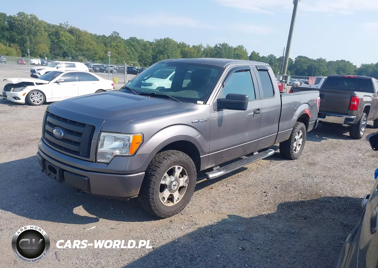 2009 Ford F-150 Stx-Xl VIN:1FTRX14W99FB35012 - 2