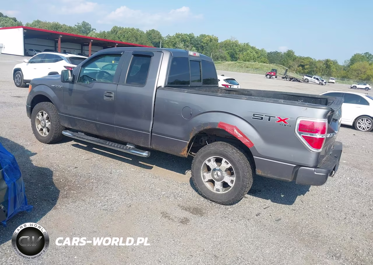 2009 Ford F-150 Stx-Xl VIN:1FTRX14W99FB35012 - 3