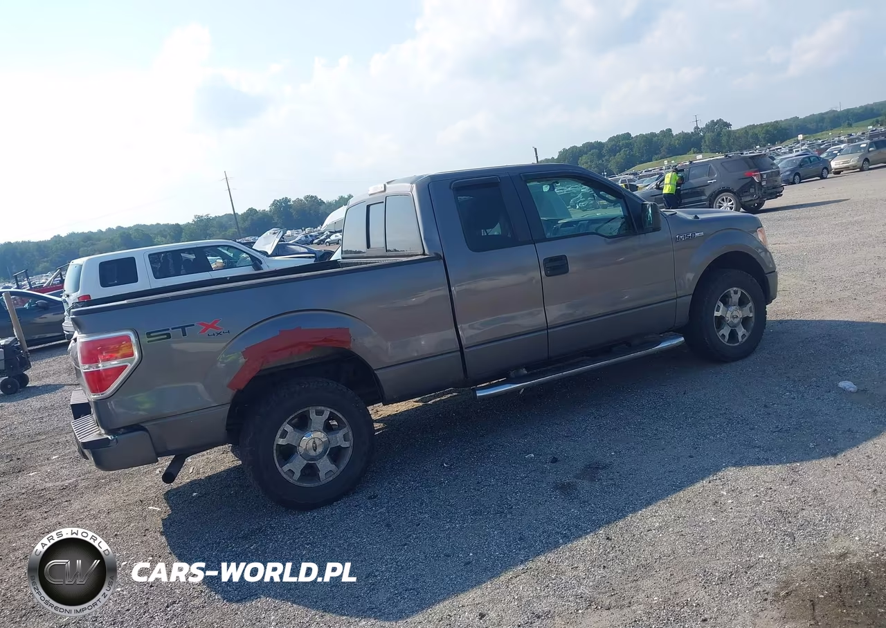 2009 Ford F-150 Stx-Xl VIN:1FTRX14W99FB35012 - 4