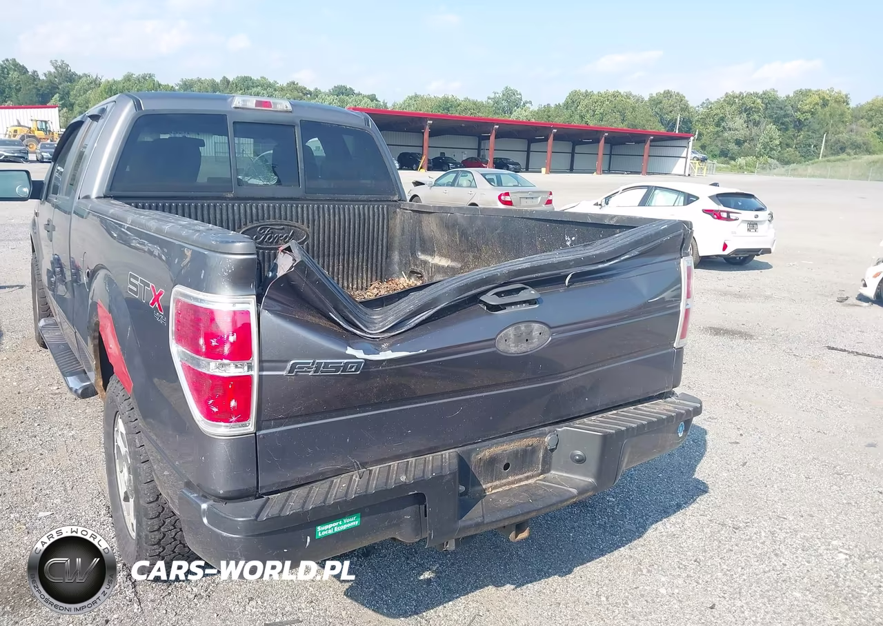 2009 Ford F-150 Stx-Xl VIN:1FTRX14W99FB35012 - 6
