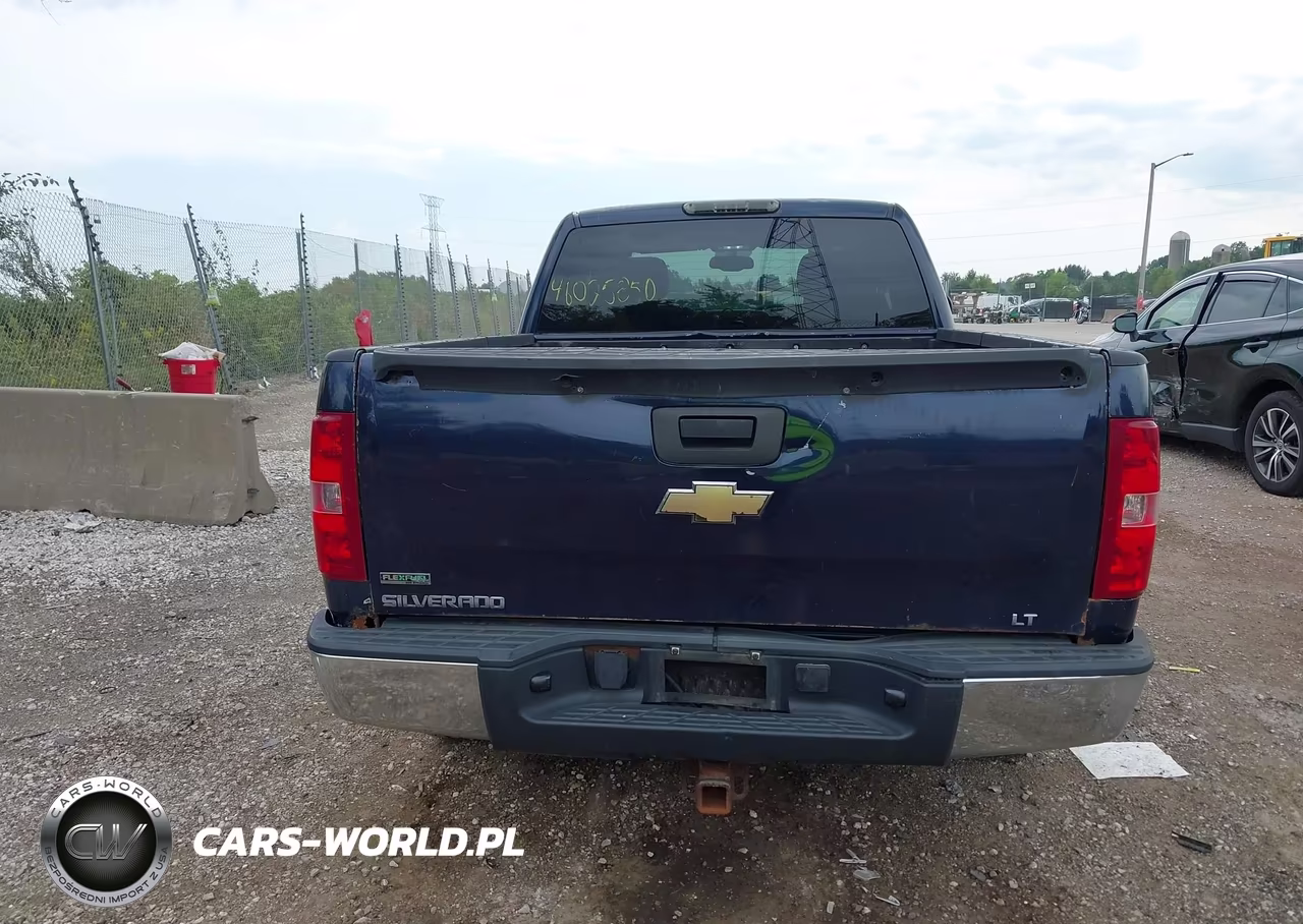 2010 Chevrolet Silverado 1500 Lt VIN:1GCSKSEA4AZ285038 - 16