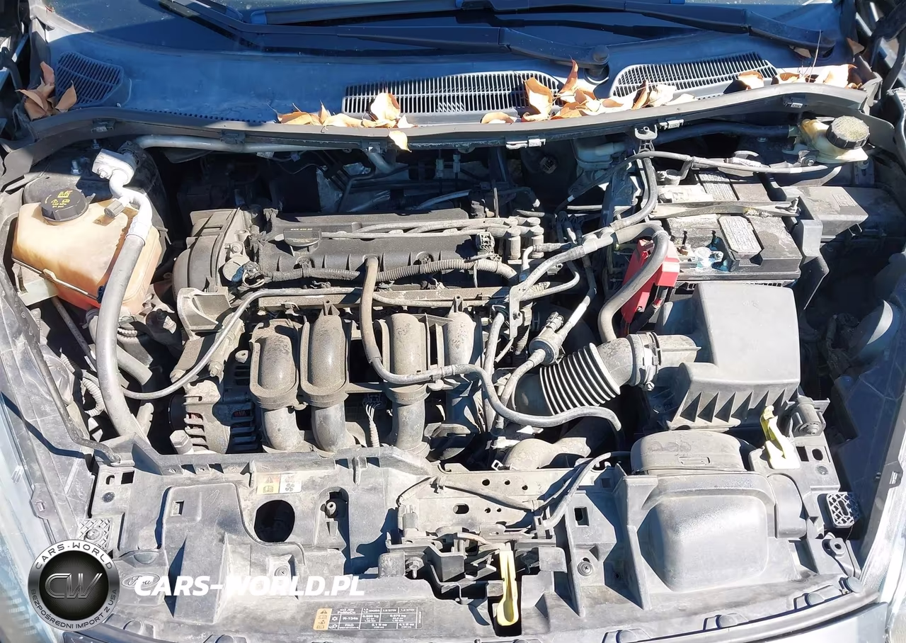 2016 Ford Fiesta Se VIN:3FADP4BJ7GM157192 - 10