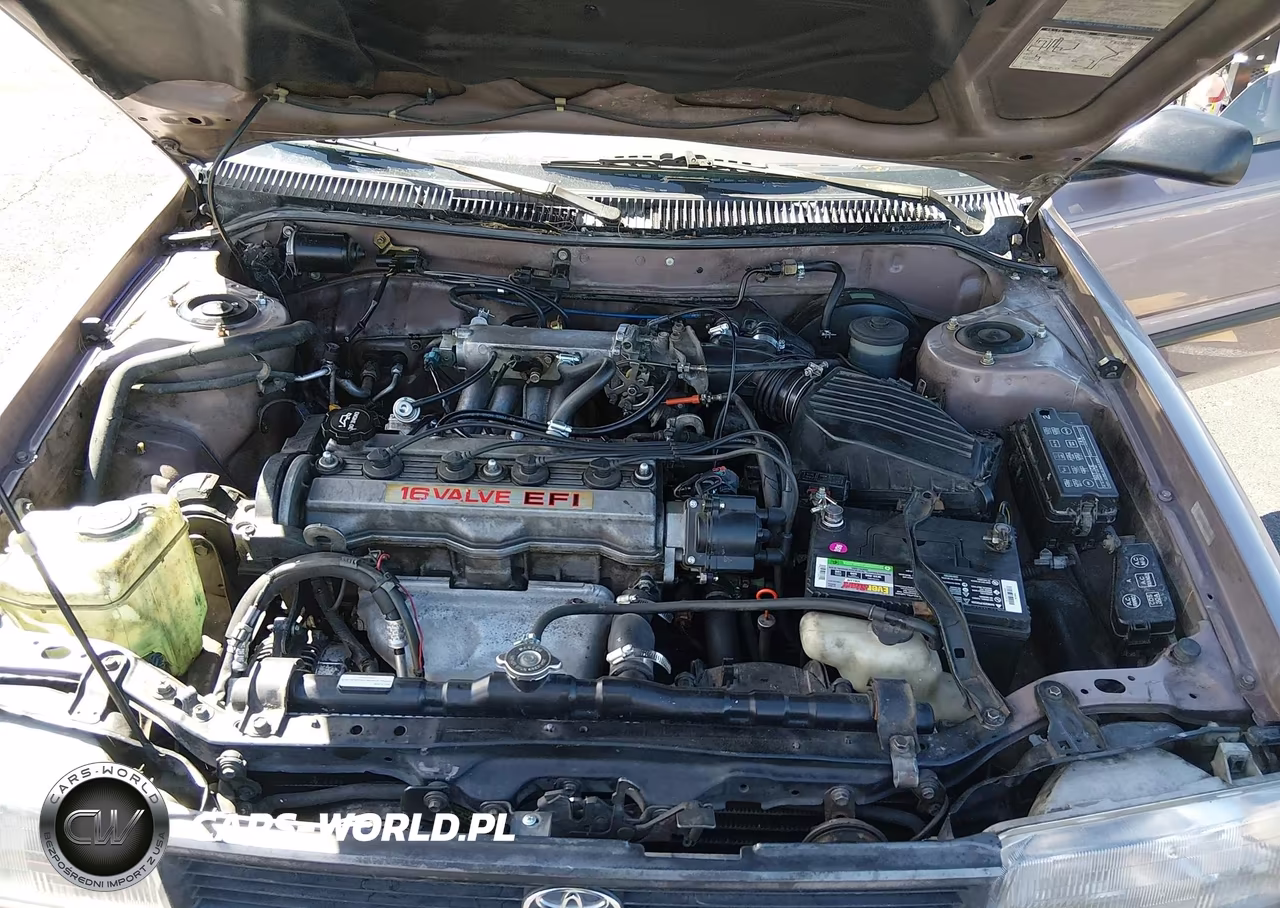 1992 Toyota Corolla Dlx VIN:JT2AE94A9N0305560 - 10