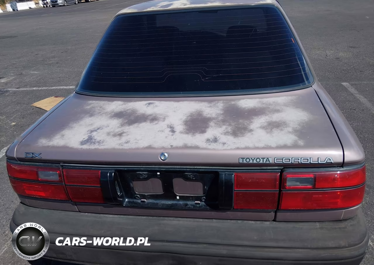 1992 Toyota Corolla Dlx VIN:JT2AE94A9N0305560 - 6