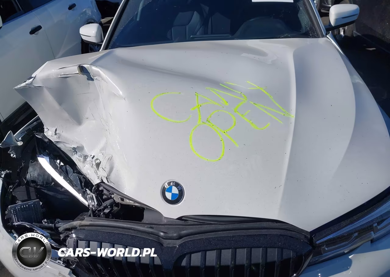 2019 BMW 330I VIN:WBA5R1C56KAK10590 - 10