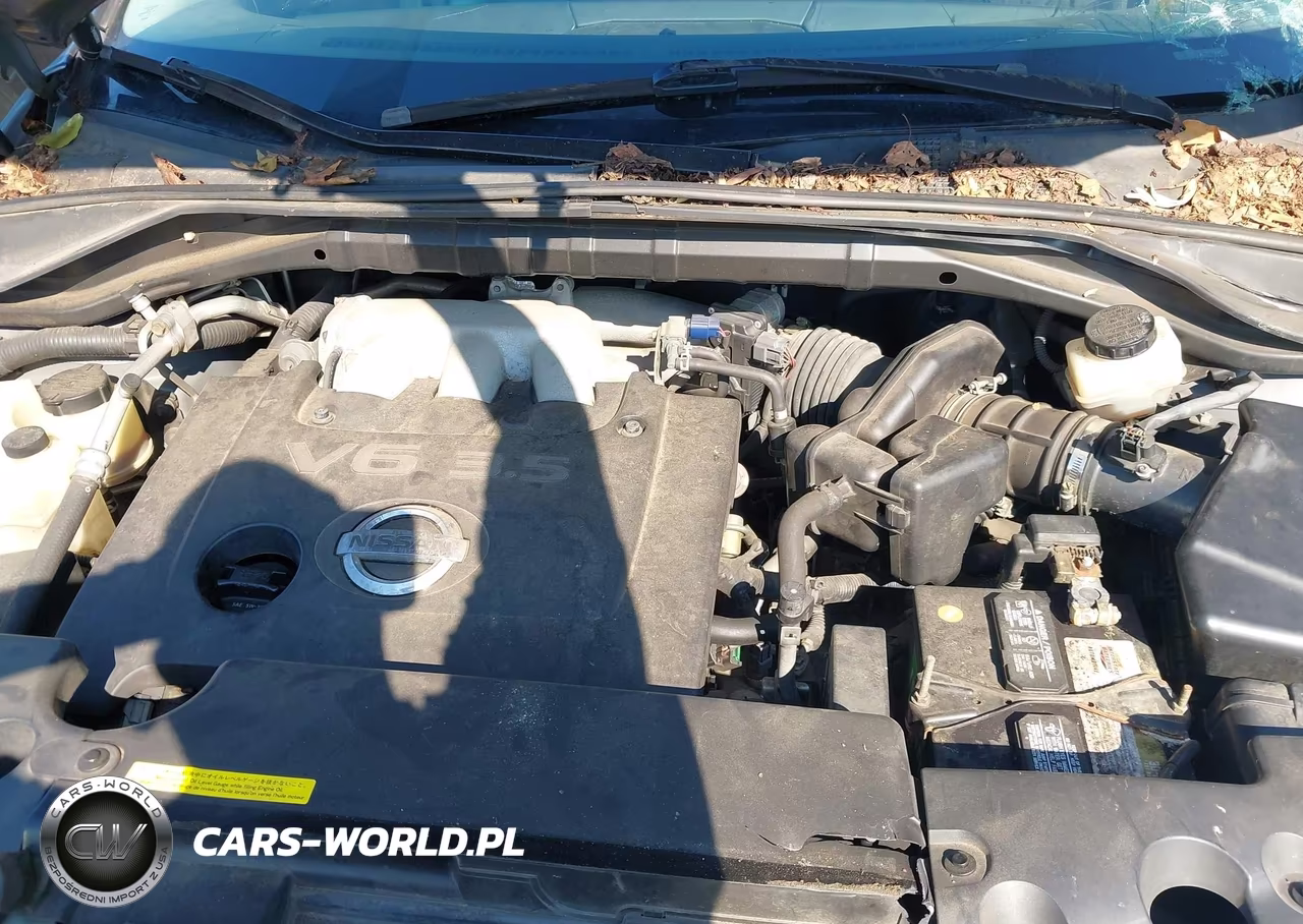 2007 Nissan Murano Se VIN:JN8AZ08W07W617185 - 10