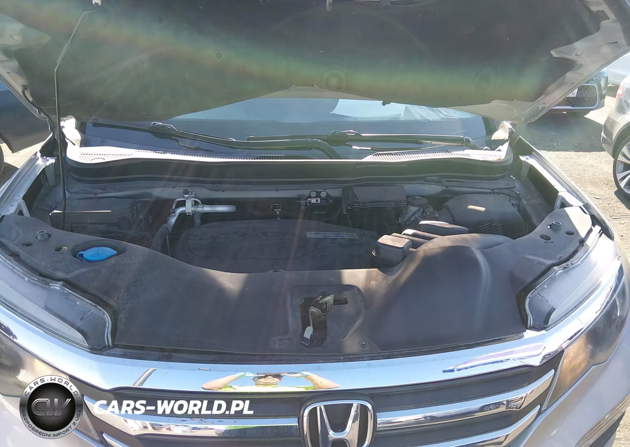 2016 Honda Pilot Lx VIN:5FNYF5H10GB011975 - 10