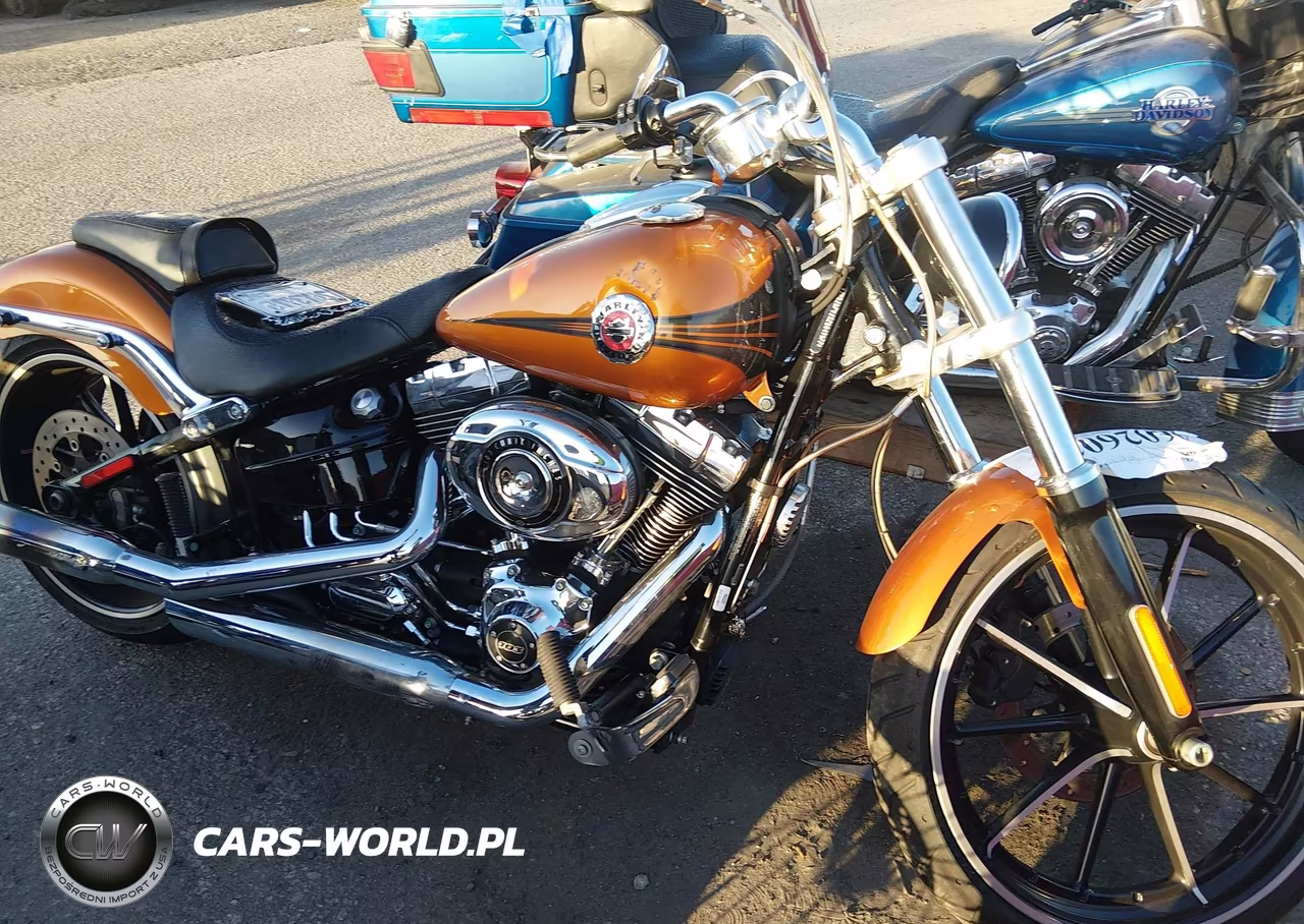 2014 Harley-Davidson Fxsb Breakout VIN:1HD1BFV1XEB049977 - 12