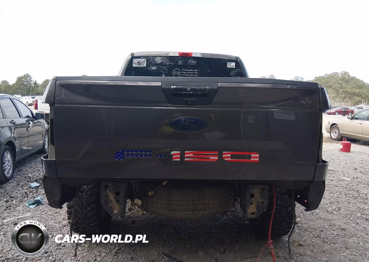 2018 Ford F-150 Xlt VIN:1FTEW1E55JKF74209 - 17