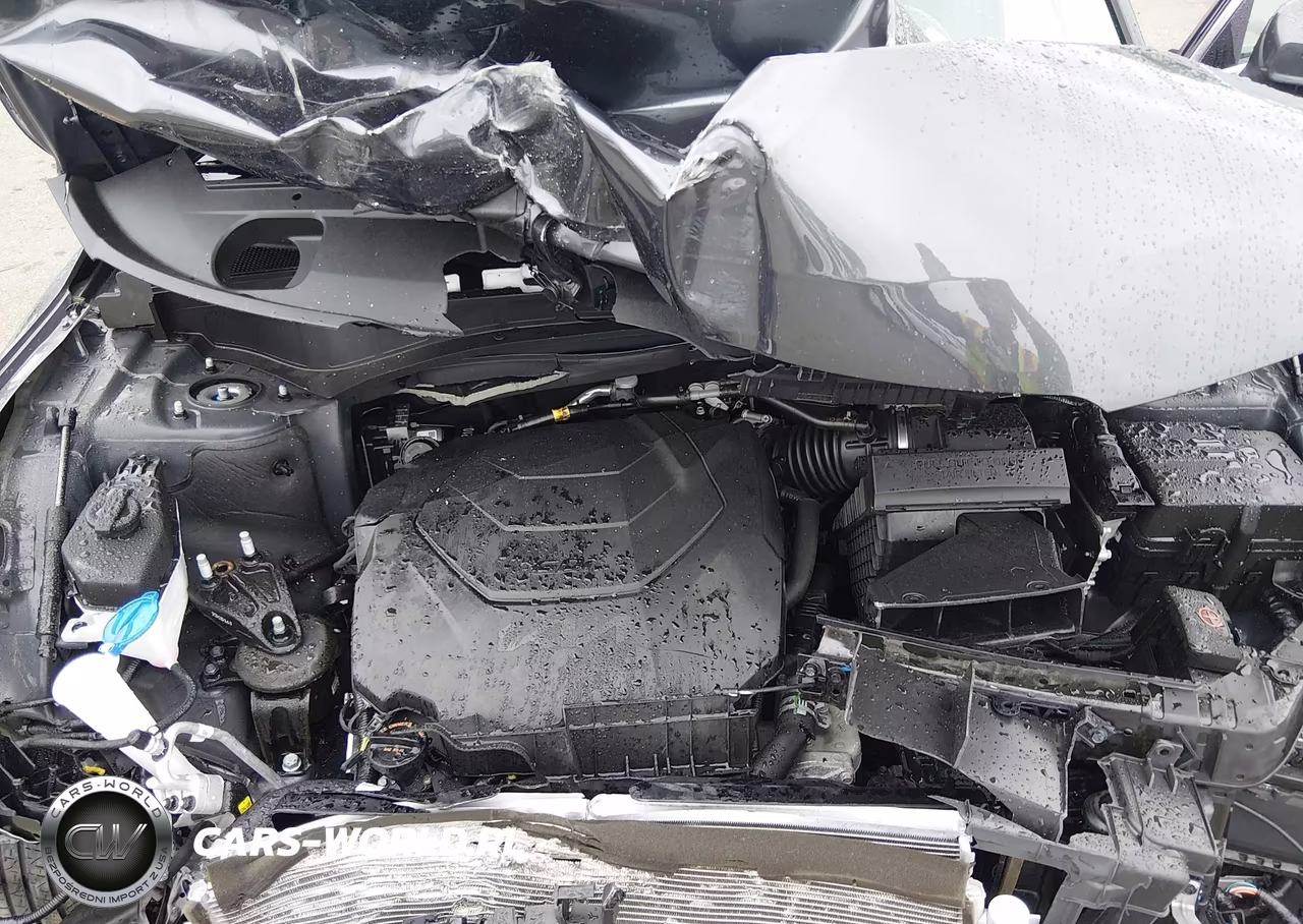2024 Kia Telluride Lx VIN:5XYP24GC5RG428976 - 10