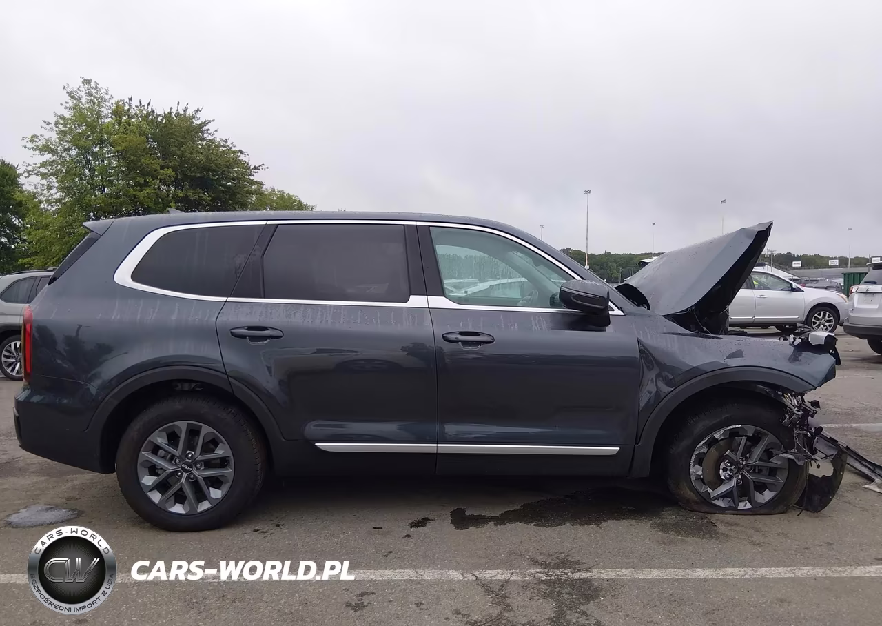 2024 Kia Telluride Lx VIN:5XYP24GC5RG428976 - 13