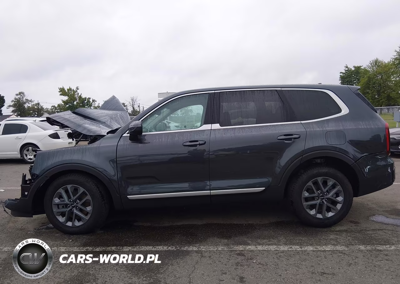 2024 Kia Telluride Lx VIN:5XYP24GC5RG428976 - 14