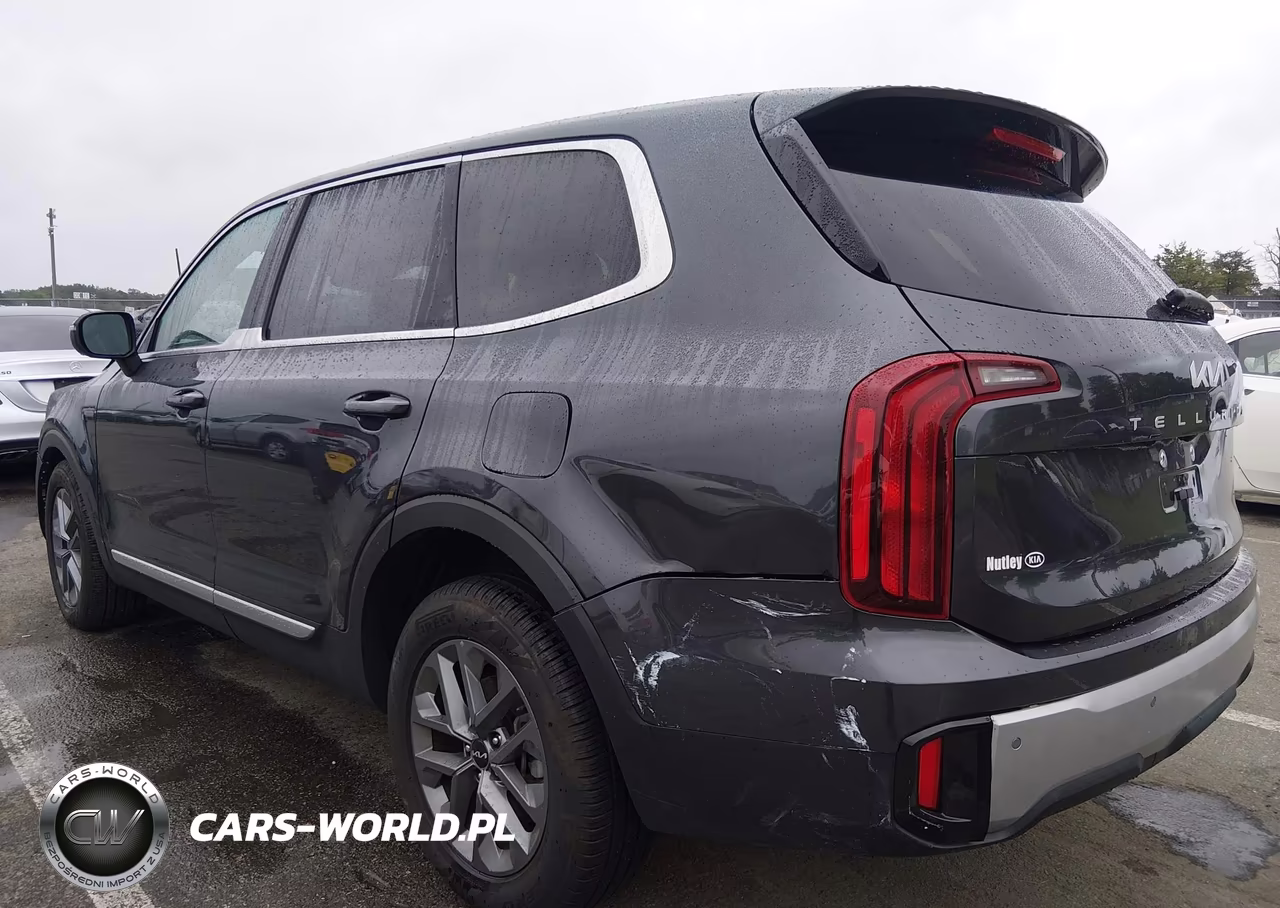 2024 Kia Telluride Lx VIN:5XYP24GC5RG428976 - 17