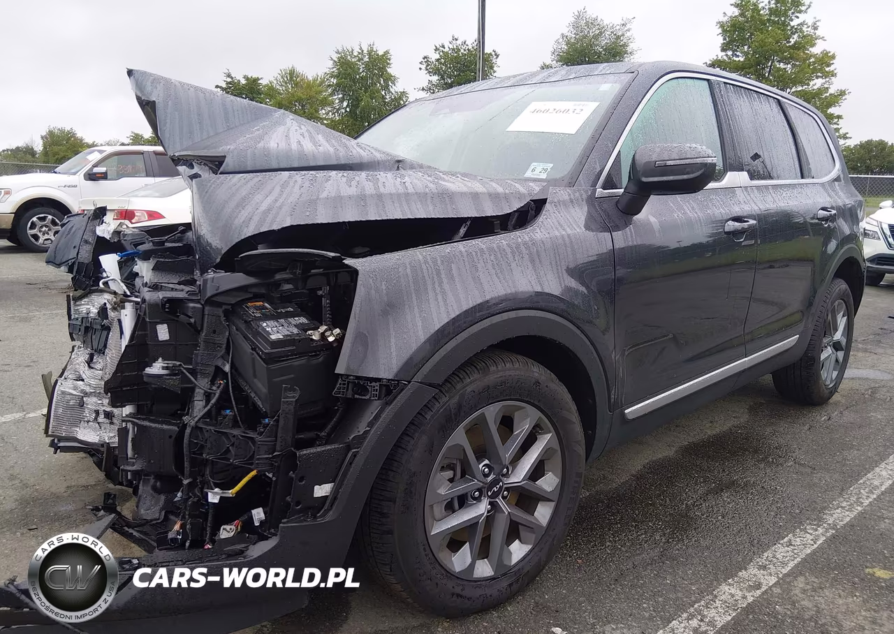 2024 Kia Telluride Lx VIN:5XYP24GC5RG428976 - 2