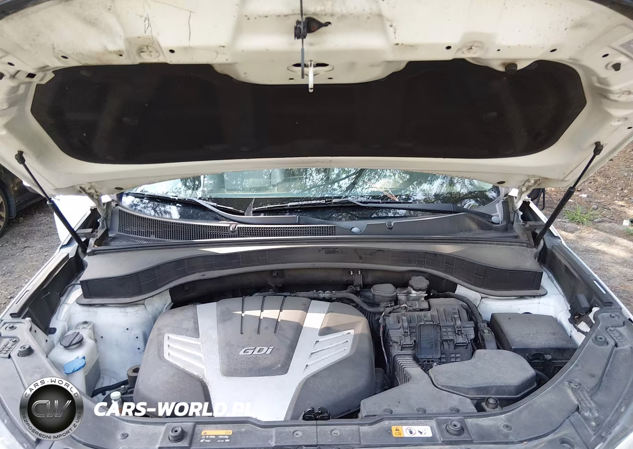 2014 Kia Sorento Sx V6 VIN:5XYKWDA71EG465303 - 10