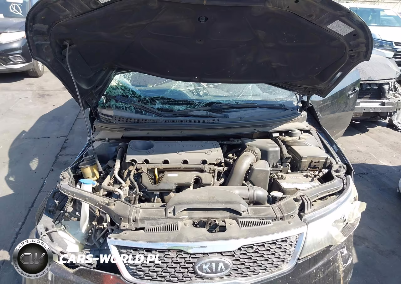 2013 Kia Forte Ex VIN:KNAFU4A21D5657661 - 10