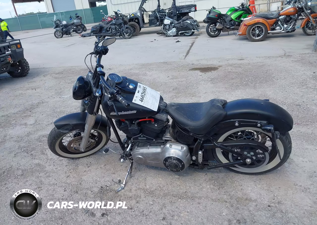 2013 Harley-Davidson Fls Softail Slim VIN:1HD1JRV19DB019887 - 11