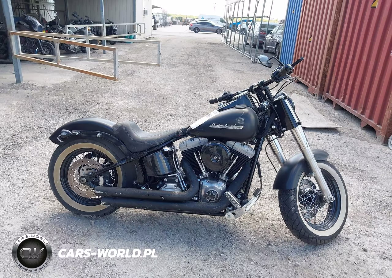 2013 Harley-Davidson Fls Softail Slim VIN:1HD1JRV19DB019887 - 12