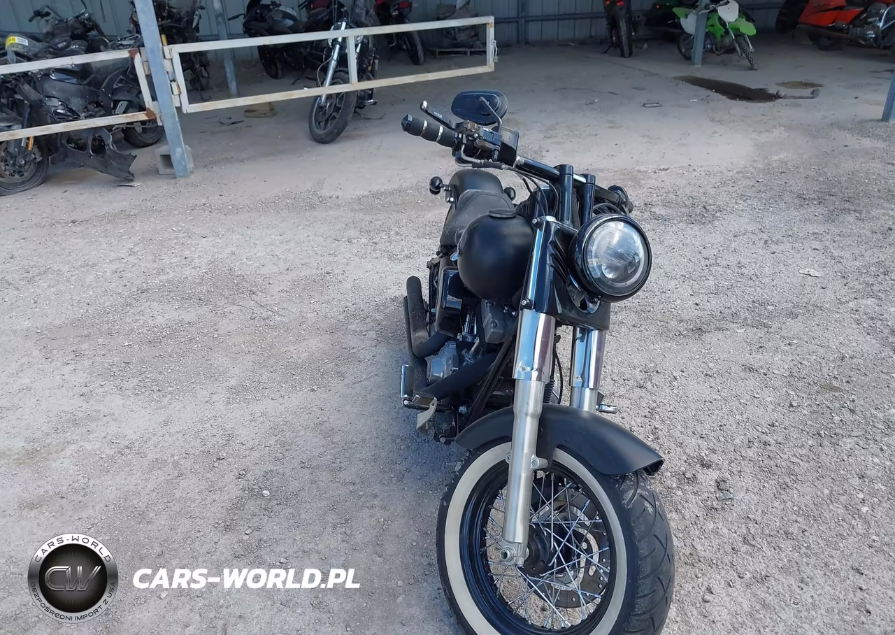 2013 Harley-Davidson Fls Softail Slim VIN:1HD1JRV19DB019887 - 2