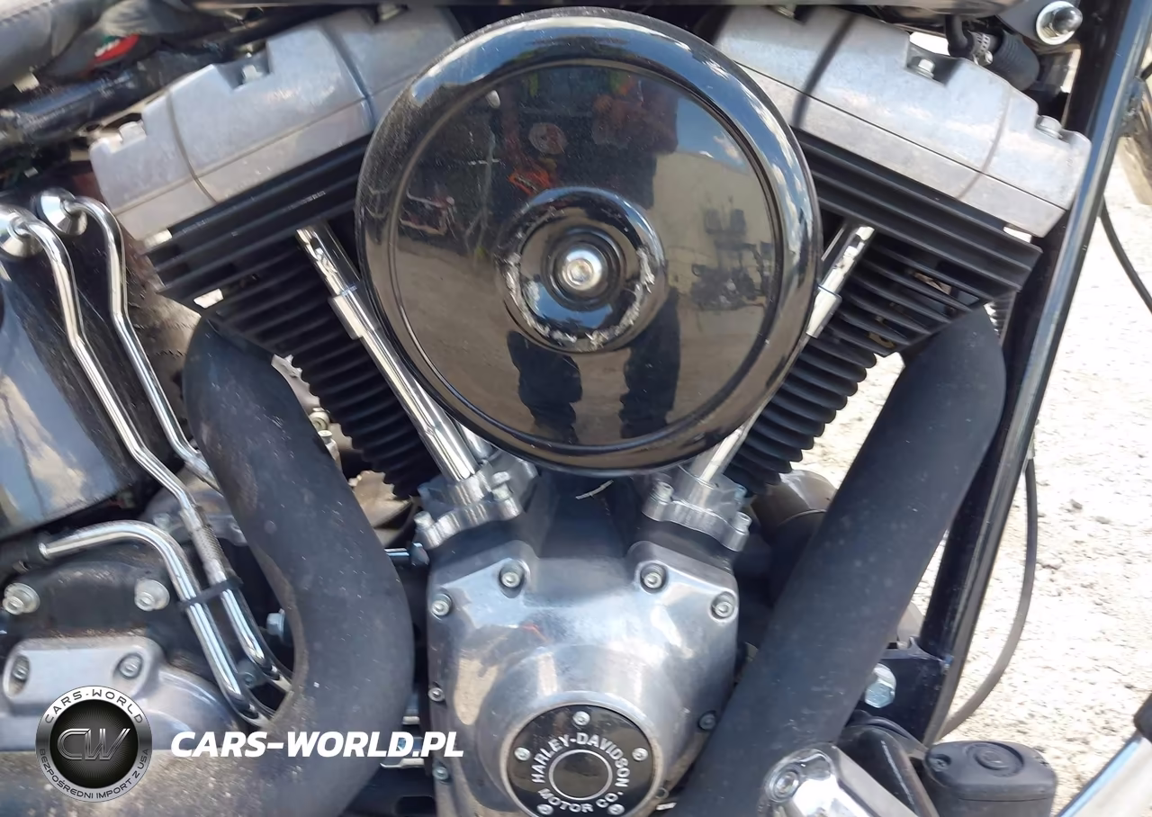 2013 Harley-Davidson Fls Softail Slim VIN:1HD1JRV19DB019887 - 9