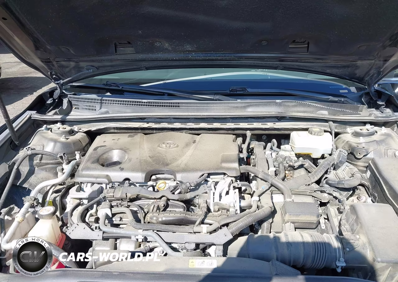2019 Toyota Camry Hybrid Se VIN:4T1B21HK3KU516746 - 10