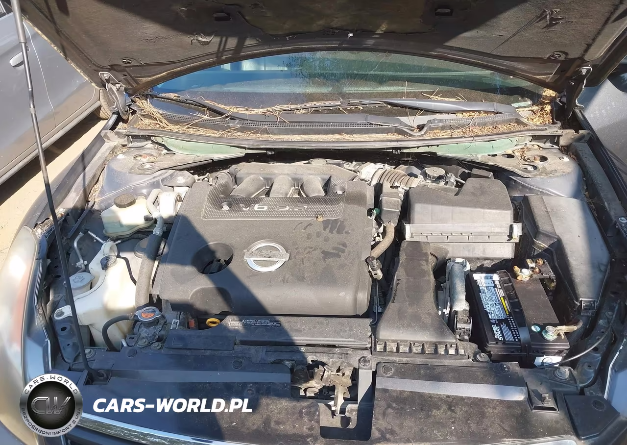 2008 Nissan Altima 3.5 Se VIN:1N4BL21E98N428319 - 10