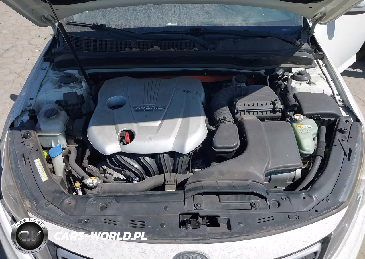 2012 Kia Optima Hybrid Ex VIN:KNAGM4AD1C5014411 - 10
