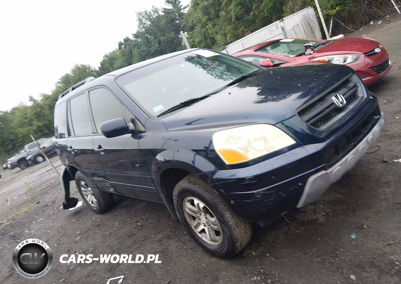 2004 Honda Pilot Ex-L VIN:2HKYF18784H520691 - 13