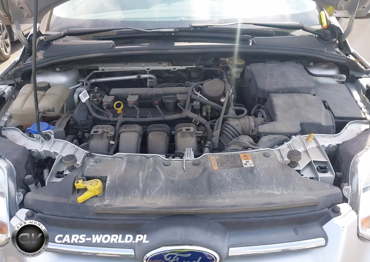 2014 Ford Focus Se VIN:1FADP3F2XEL347337 - 10