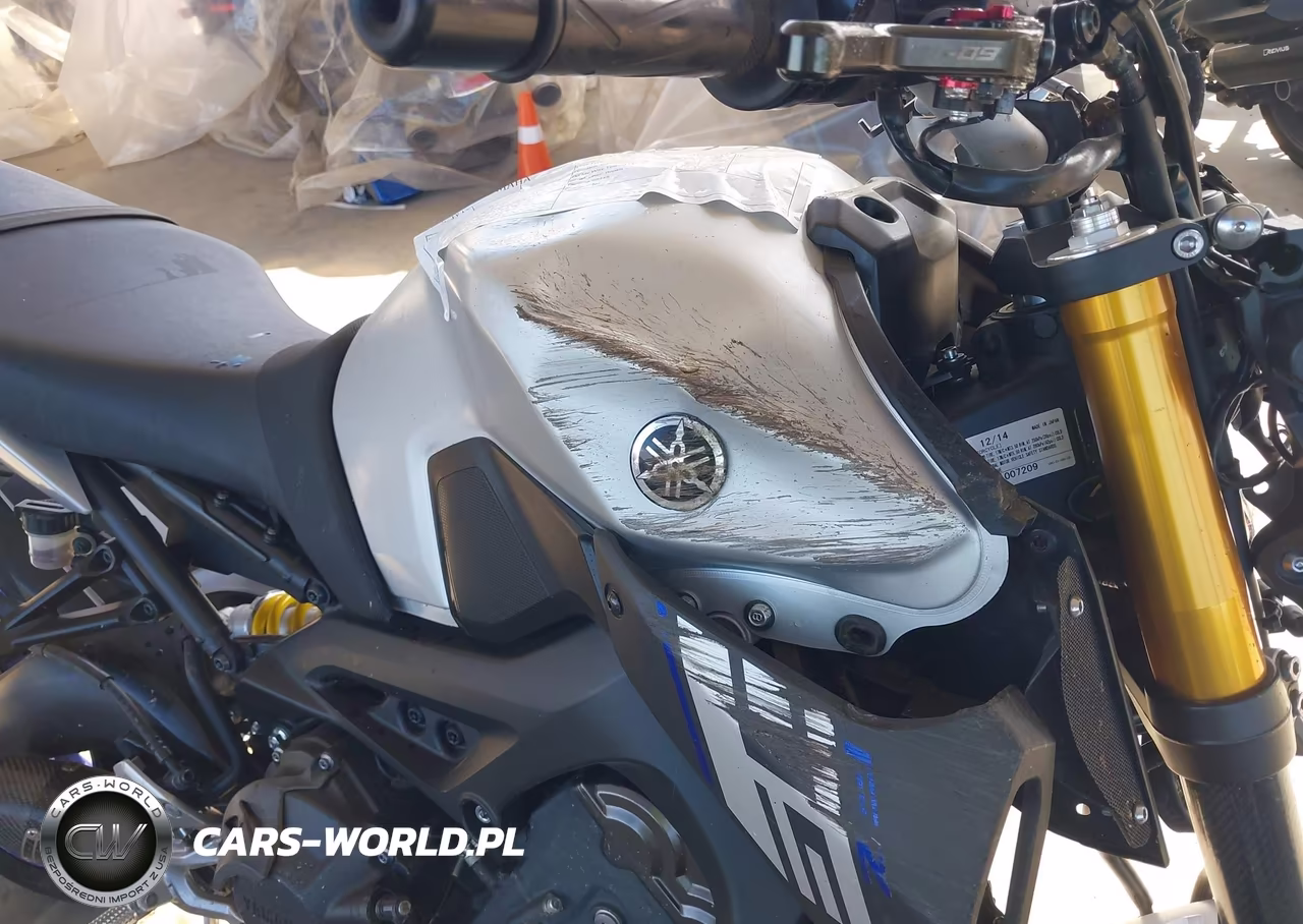 2015 Yamaha Fz09 VIN:JYARN33E4FA007209 - 16