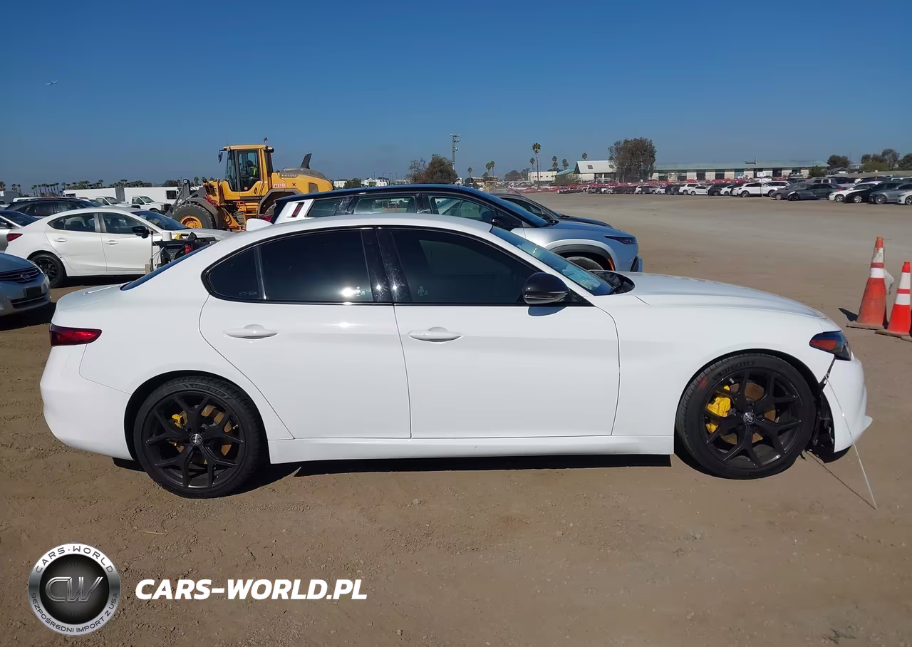 2020 Alfa Romeo Giulia Rwd VIN:ZARFAMAN2L7635599 - 13