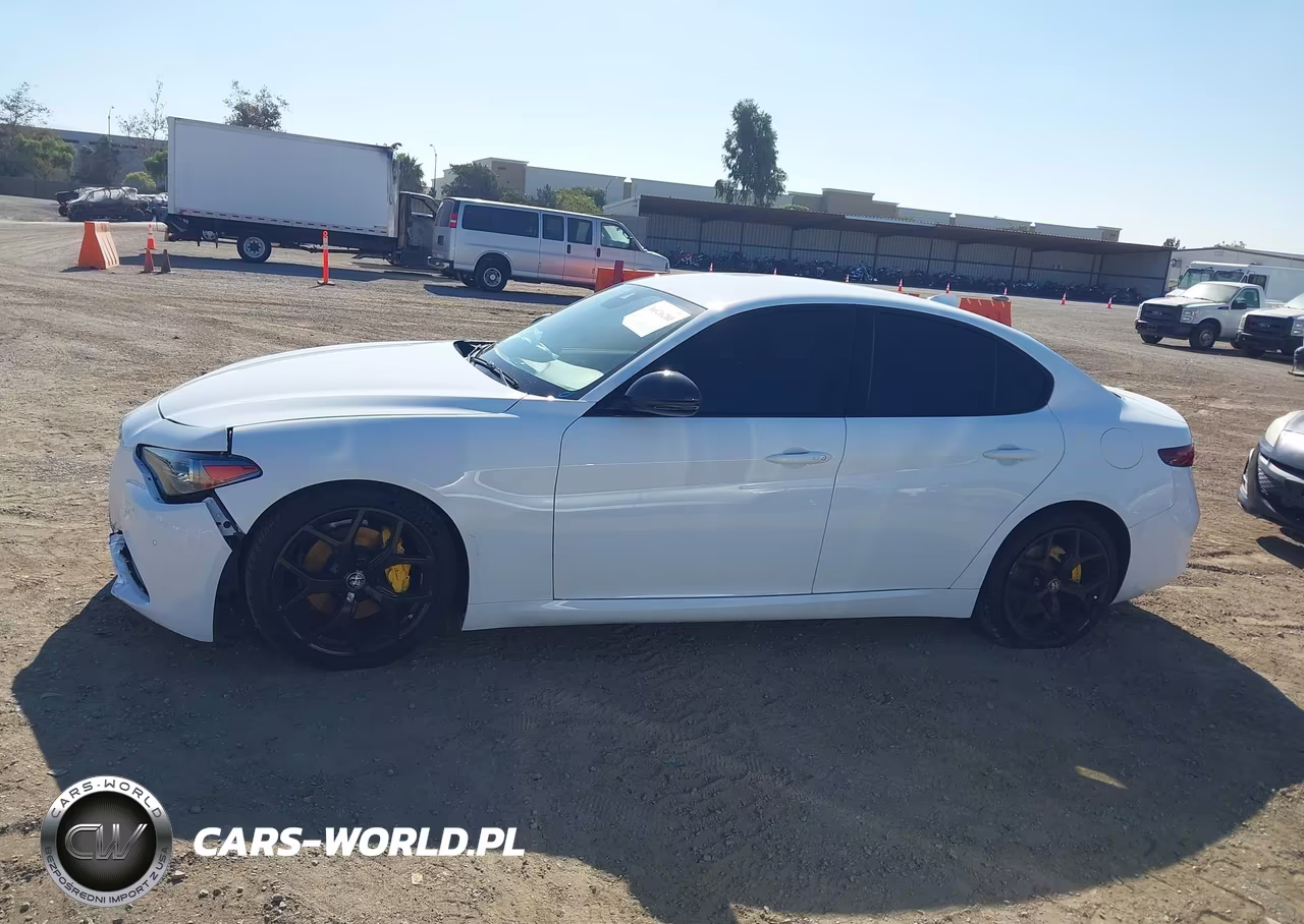 2020 Alfa Romeo Giulia Rwd VIN:ZARFAMAN2L7635599 - 14