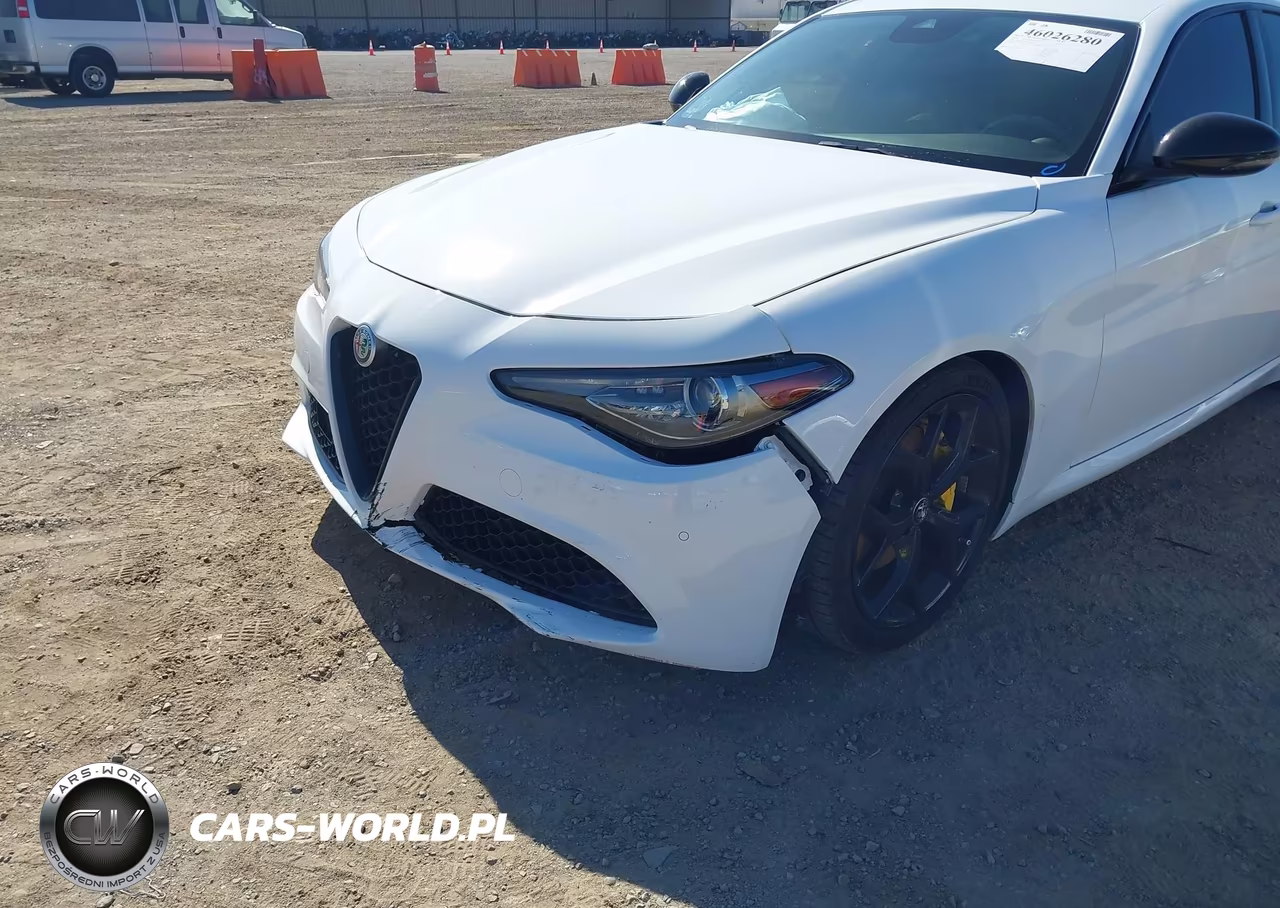 2020 Alfa Romeo Giulia Rwd VIN:ZARFAMAN2L7635599 - 17