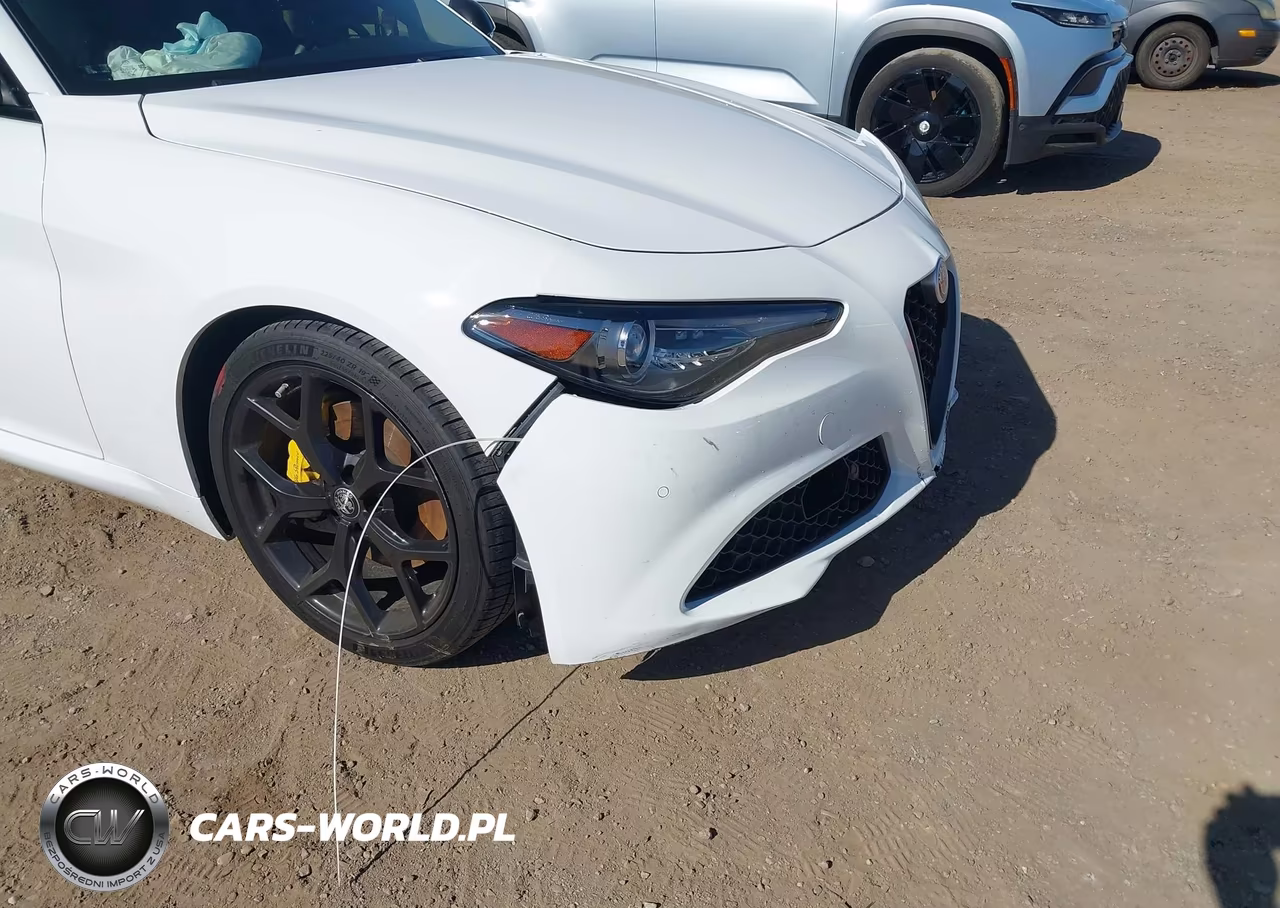 2020 Alfa Romeo Giulia Rwd VIN:ZARFAMAN2L7635599 - 18