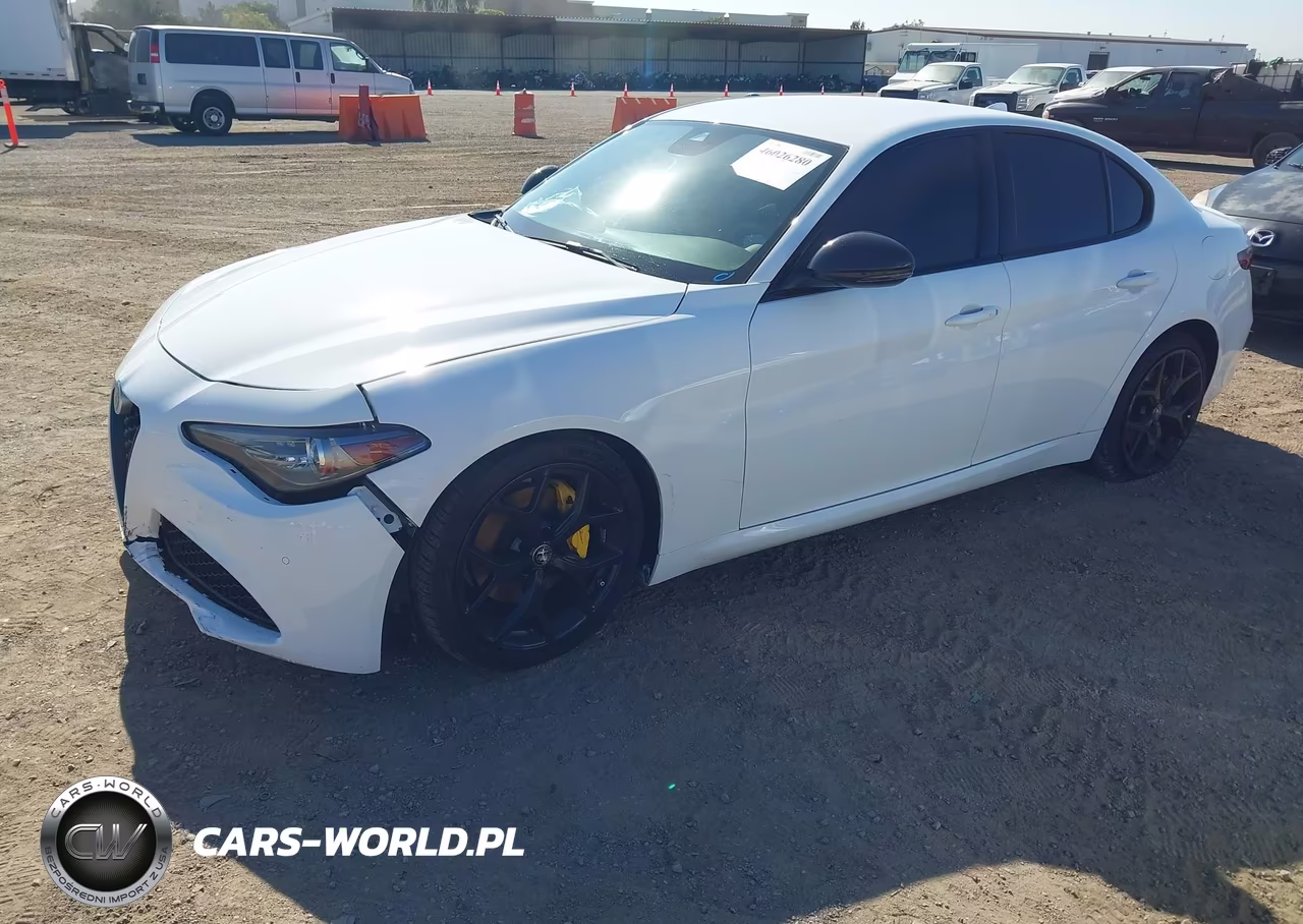 2020 Alfa Romeo Giulia Rwd VIN:ZARFAMAN2L7635599 - 2