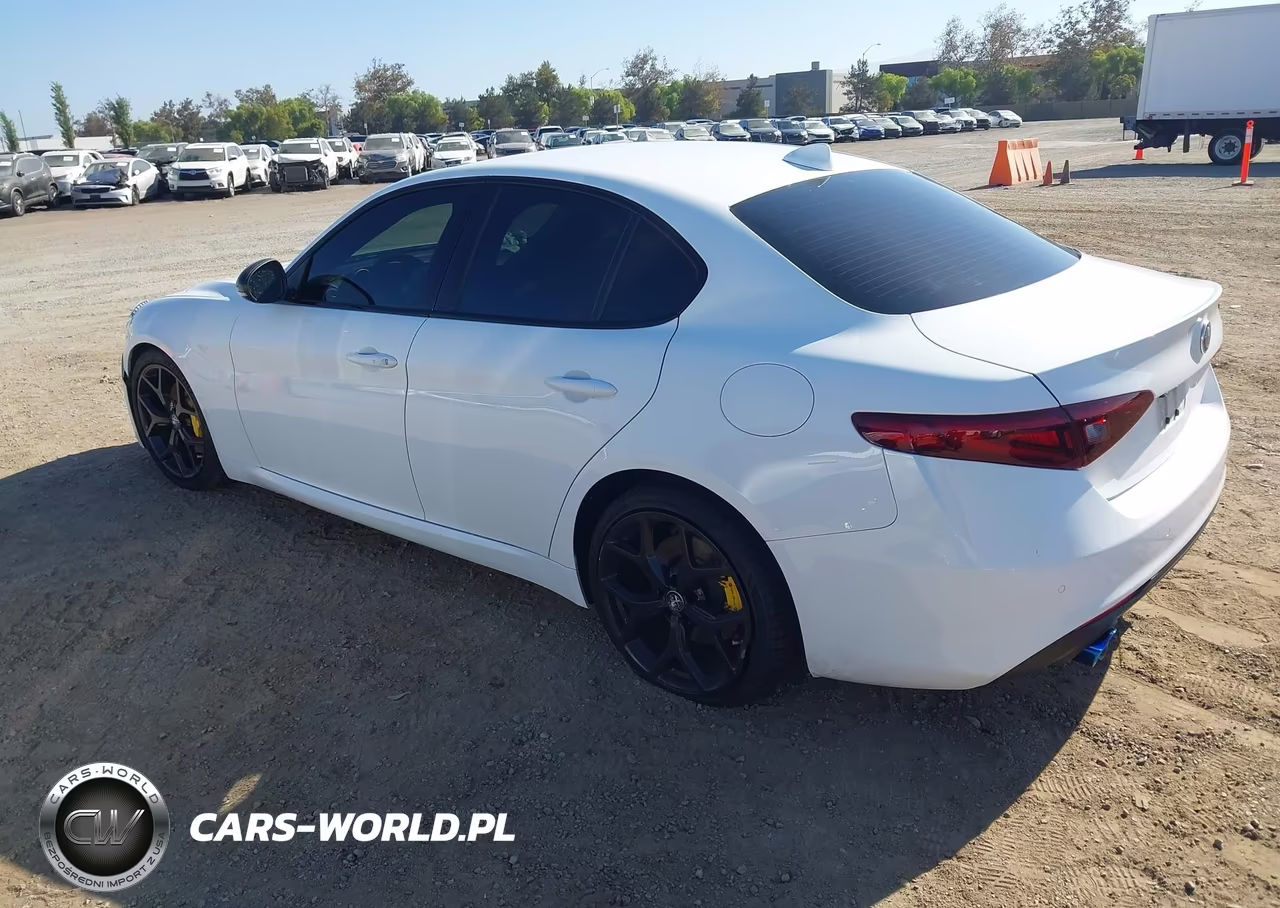 2020 Alfa Romeo Giulia Rwd VIN:ZARFAMAN2L7635599 - 3