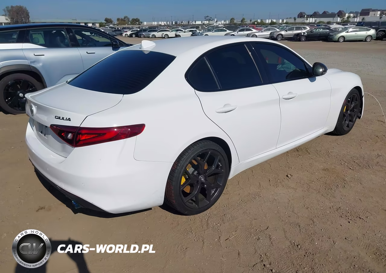 2020 Alfa Romeo Giulia Rwd VIN:ZARFAMAN2L7635599 - 4