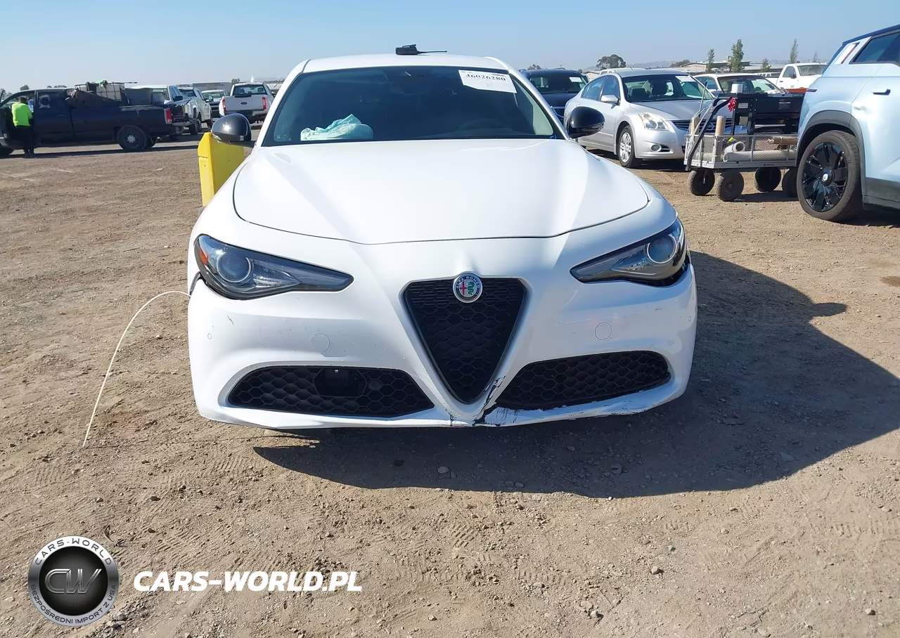 2020 Alfa Romeo Giulia Rwd VIN:ZARFAMAN2L7635599 - 6