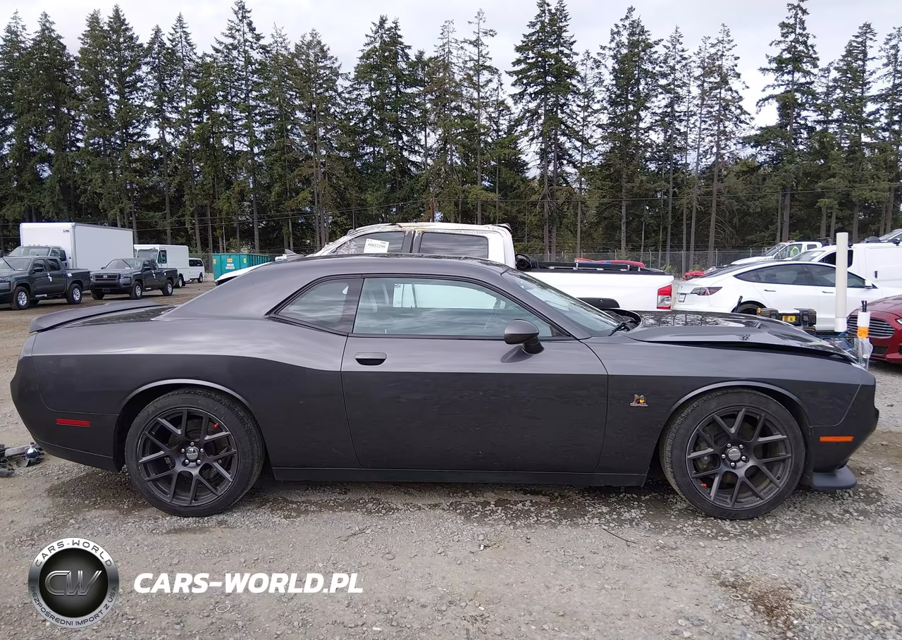 2016 Dodge Challenger R-T Scat Pack VIN:2C3CDZFJXGH288965 - 14
